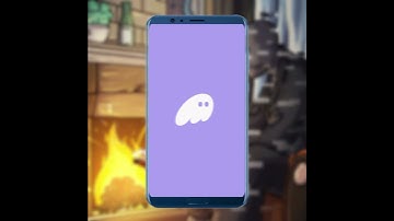 New PAWS Mandatory Task: Simple Steps to Complete It - Solana Wallet connection