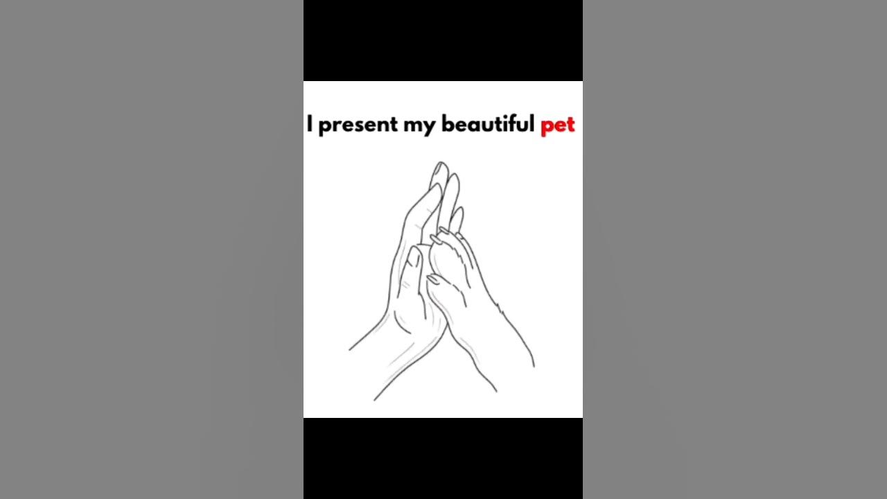 my-new-dog-youtube