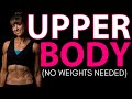 10 Upper Body Bodyweight Exercises (+2 WORKOUTS!)