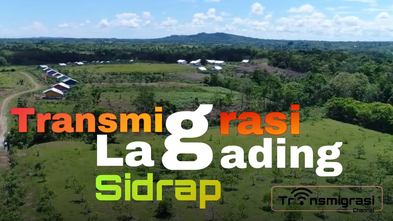 Kondisi Transmigrasi Lagading di Sidenreng Rappang