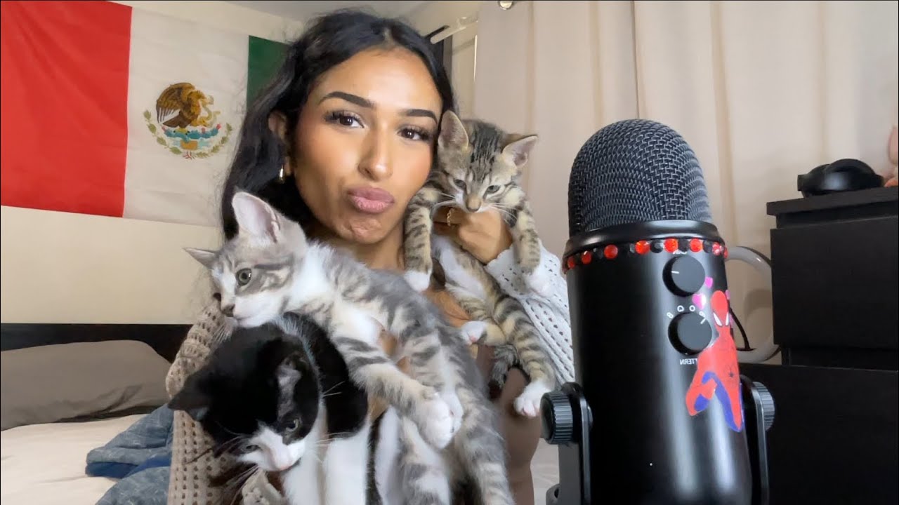 ASMR Знакомьтесь, мои котята! (Бред)