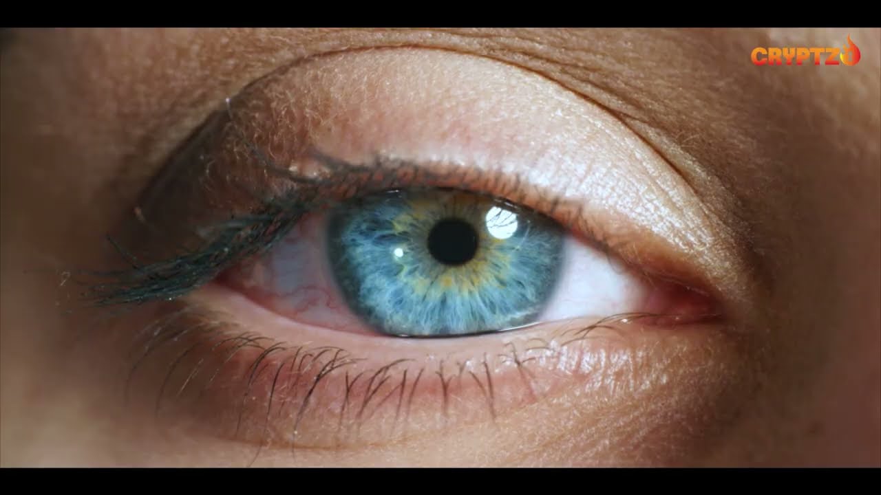 A STORY COMMUNICATIONS - CRYPTZO ENGINEERING PVT LTD CORPORATE FILM