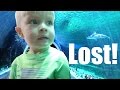 👦🐬LITTLE BOY LOST AT SHARK AQUARIUM😱🐟🐙! DYCHES FAM
