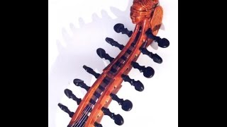 Vivaldi Concerto for Viola d'amore in D minor, RV 393