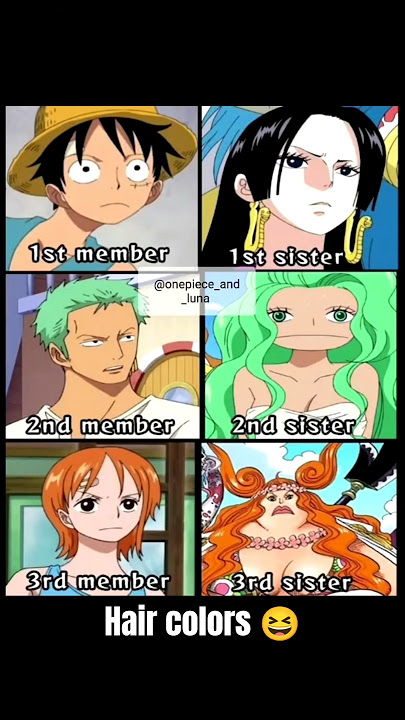 Hair Colors 😆 #anime #onepiece #memes #shorts