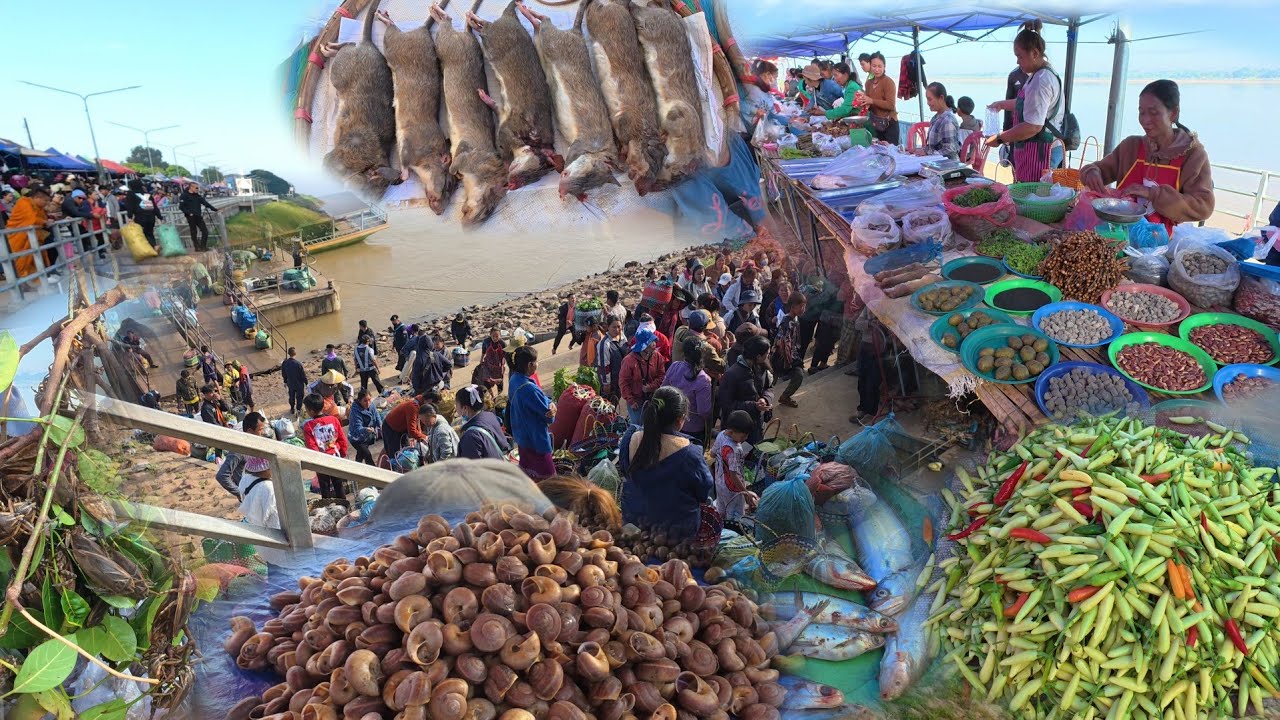 หนูนา ปลาโขง ปูแดง อาหารธรรมชาติ ตลาดนัดไทยลาว อำเภอท่าอุเทน จังหวัดนครพนม