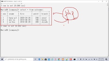 PHP 프로그램으로 MySQL 데이터베이스 연결