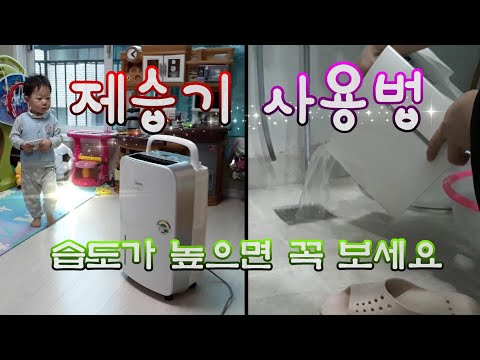 제습기 효과 빨래건조 제습기 사용법  집안 습도가 높으면 꼭 보세요