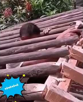 Video lucu wis angel