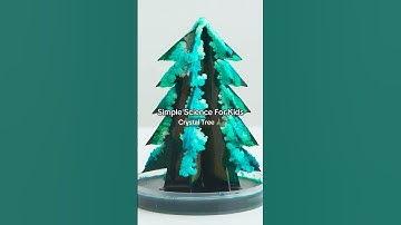 Crystal Christmas Tree DIY Science Experiment #kiwico #scienceexperiment #diy