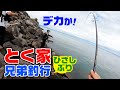 滅多に無いとく兄弟3人で有明海のスズキ釣り の動画、YouTube動画。