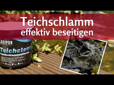 Video: Teichbakterien: Zur Reinigung Von Fischteichen Von Algen, Grün Und Schlick, MACRO-ZYME, 