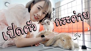 เปิดตัวกระต่ายใหม่ 2 ตัว! ต่ายยักษ์กับต่ายจิ๋ว🐰 | mintchyy