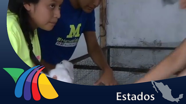 Estudiantes crian conejos | Noticias de Veracruz