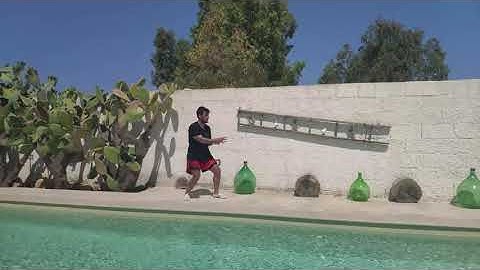 Xing yi and baguazhang warm up