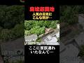 住宅真横に大迷惑！閉業した巨大レジャー施設に歴代アメリカ大統領の顔の廃墟が…かつての人気観光地を徹底取材　#廃墟 #日光 #観光スポット #不動産 #アナウンサー