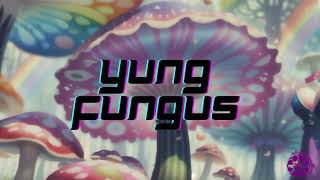 Playboy Bunny Ball 2: Introducing Yung Fungus