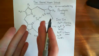 The Heme Group and Hemoglobin Part 1