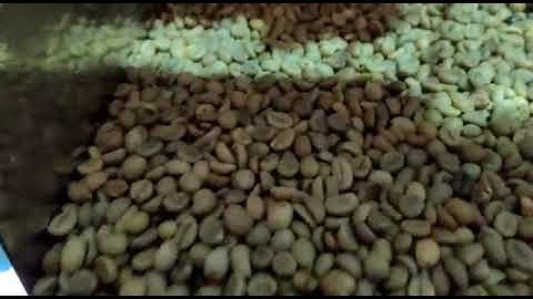 Coffee Bean Color Sorting Machine