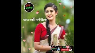 Amar Akta Sathi Chilo |আমার একটা সাথী ছিলো |S D Rubel | HD Video Song |