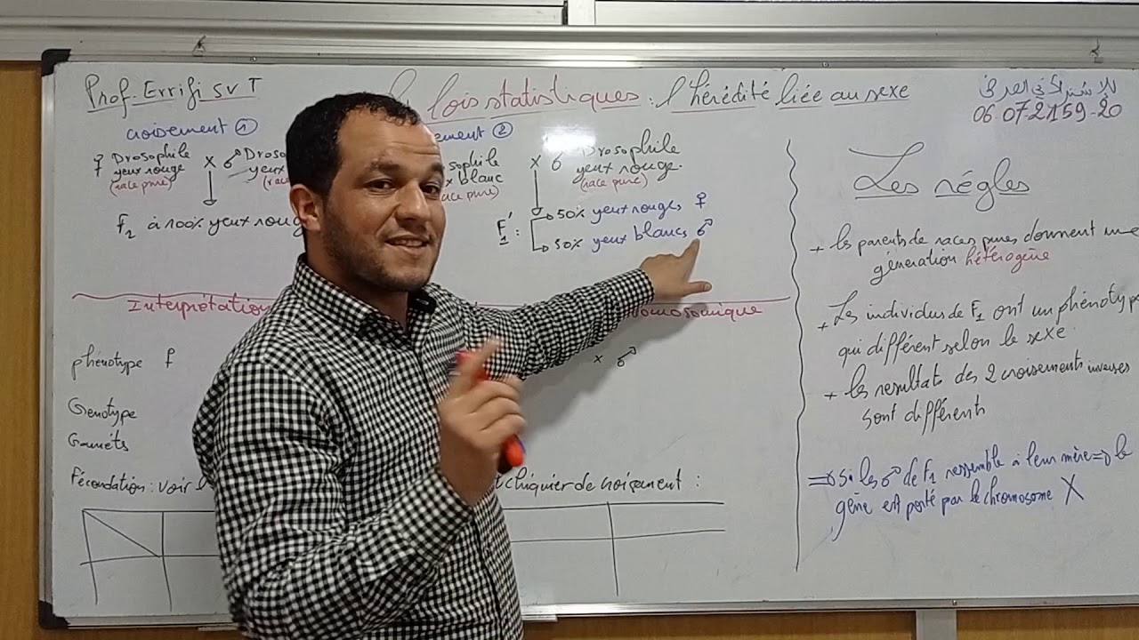 ✅Les lois statistiques 😍 cas lié au sexe