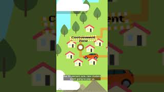 How Much Longer Are We Stuck In Lockdown? Shorts