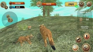 Wild Cougar Sim 3D Android Gameplay screenshot 3