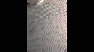 Bubble Raft Video 2 1P5