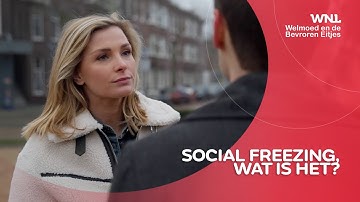 We krijgen later kinderen en vriezen vaker eicellen in, maar waarom?