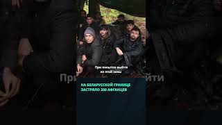 На беларусско польской границе застряли около 200 афганцев  #беларусь #новости #граница  #польша