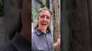 Even the New York Times is clickbait #shorts