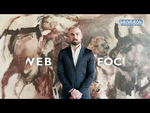 WEB FOCUS | BIM