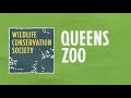 Queens Zoo Full Tour - Queens, New York