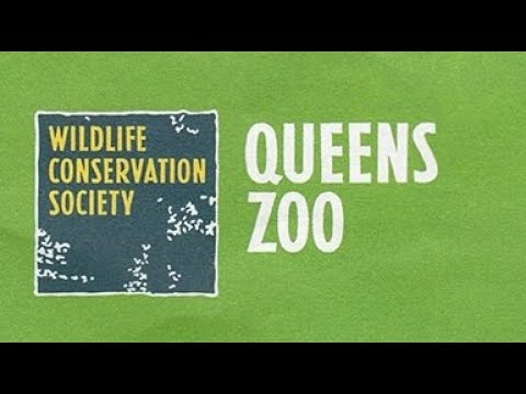 Video: Queens Zoo Besucherführer