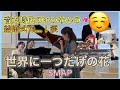 【結婚式感動余興】音大時代のいつめんと『世界に一つだけの花』を演奏してみた！！！