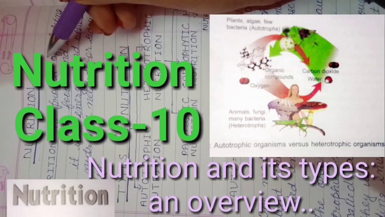 Nutrition:definition and types#Biologytalk - YouTube