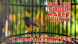 Terapi SOGON macet bunyi , pancingan SOGON belajar bunyi paling jitu dan ampuh