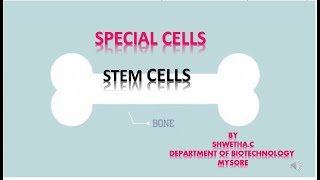 Stem Cells Part 4 By Shwetha C