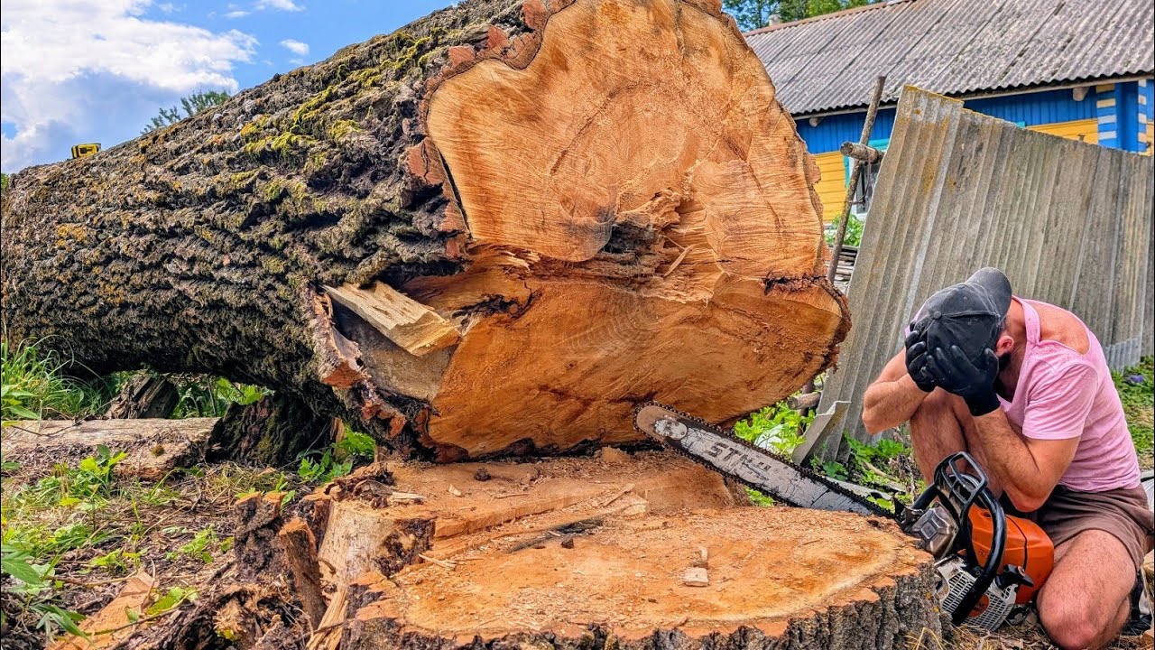 Эта работа лишена всякого смысла. Причина вас шокирует