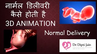 नार्मल डिलीवरी कैसे होती है 3D ANIMATION ? HOW NORMAL DELIVERY OCCURS (HINDI) Dr DiptiJain Ahmedabad