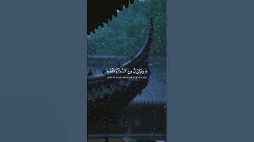 ومن آياته يريكم البرق خوفا وطمعا وينـزل من السماء ماء فيحيي به ..ما تيسر من#سورة_الروم