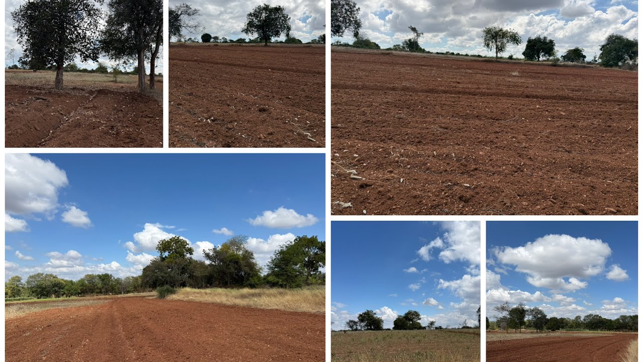 3.Acre 20 Gunte..1 acre price 35 Laksha mysore Gundlupete NH 7 km call👉☎️8197706071👉☎️8147552201❤️