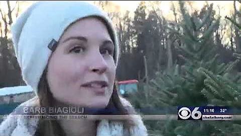 Ellms Christmas Tree Story CBS 2015