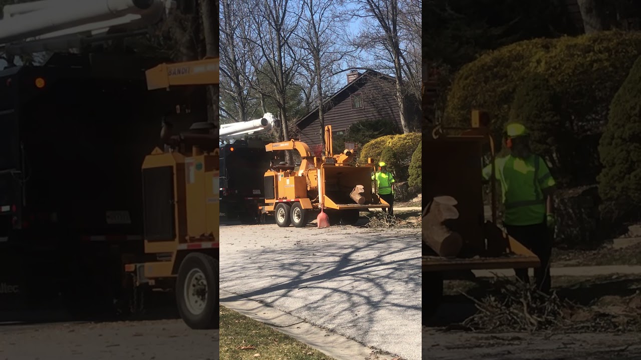 Giant log goes in shedder!!! (satisfying)