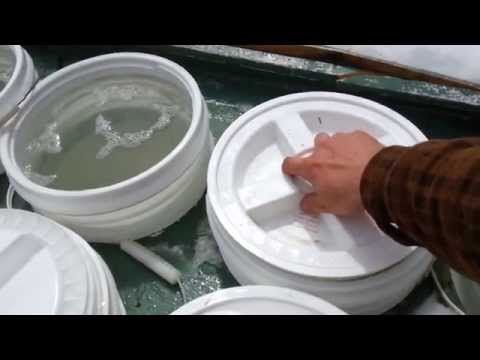 Gamma Seal Lid TESTED