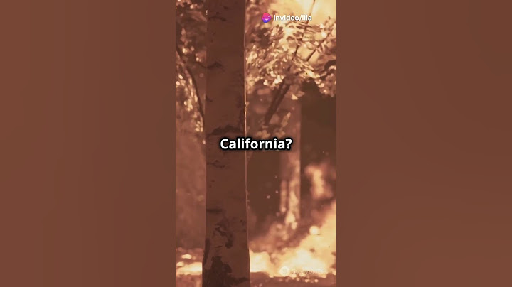 At least 24 dead as wildfires continue to rage in .California