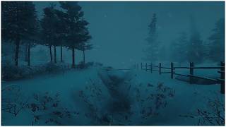 Extremely Frigid Blizzard Storm┇Relentless Howl of Snowstorm Gusts & Frosty Mountain Wind Ambience