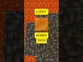 Charged Creeper MLG