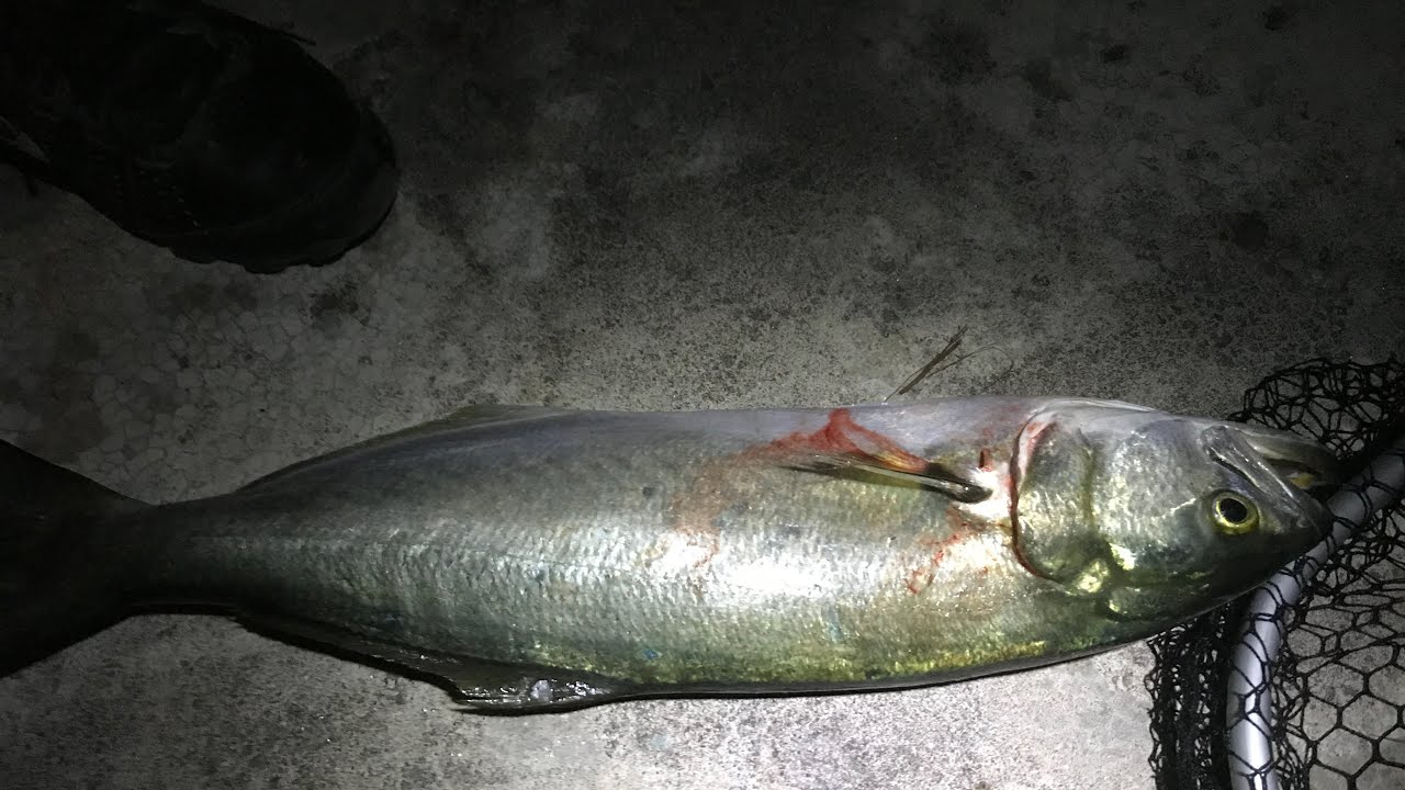 Spinning al serra a caorle