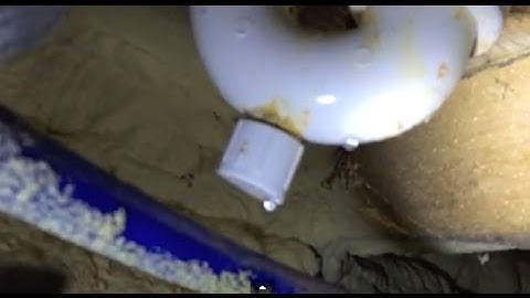 Tub Drain leak in crawl space-EASY FIX-(Plumbing tips)